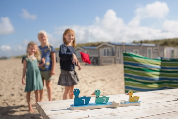 Enten in einer Reihe 