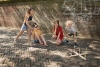 morepic-2