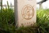 morepic-4